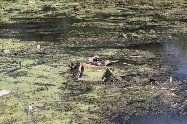 Foto - Tunca Nehri alarm veriyor