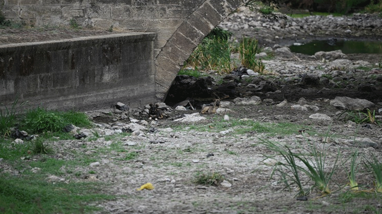 Foto - Tunca Nehri'nde üzücü haber