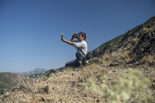 Tunceli dağlarında endemik bitkilerin izini sürüyor
