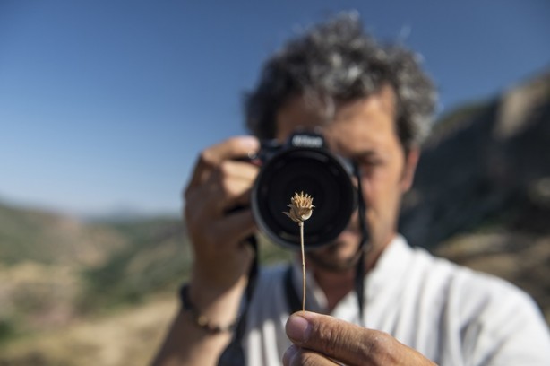 Foto - Tunceli dağlarında endemik bitkilerin izini sürüyor
