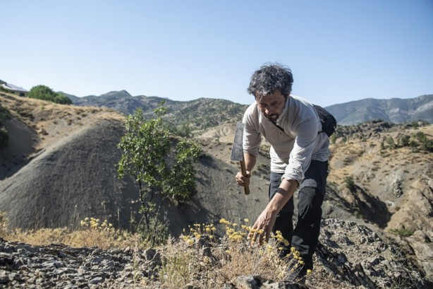 Foto - Tunceli dağlarında endemik bitkilerin izini sürüyor