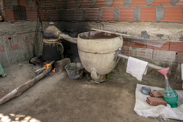 Foto - Tunus’un kadim geleneği "çiçek damıtımı" 