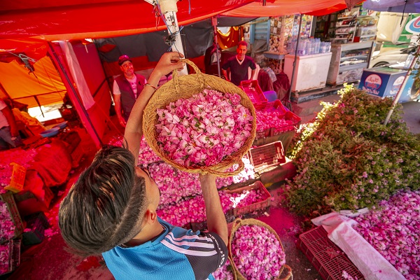 Foto - Tunus’un kadim geleneği "çiçek damıtımı" 