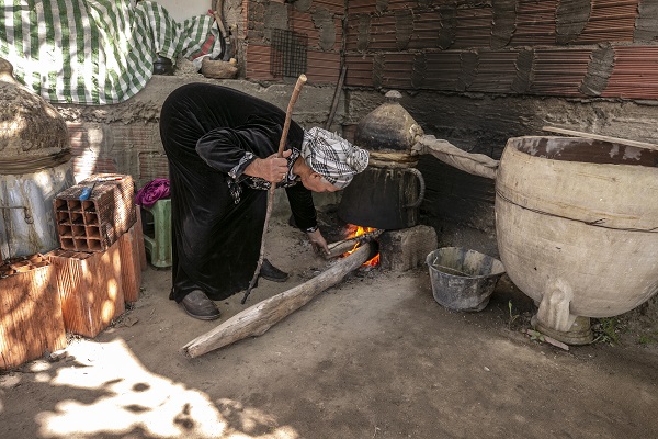 Foto - Tunus’un kadim geleneği "çiçek damıtımı" 