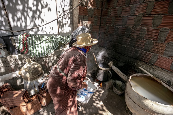 Foto - Tunus’un kadim geleneği "çiçek damıtımı" 