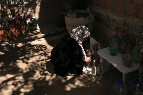 Foto - Tunus’un kadim geleneği "çiçek damıtımı" 