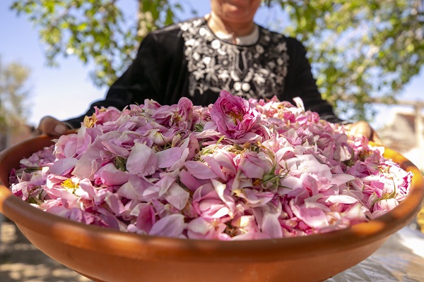 Foto - Tunus’un kadim geleneği "çiçek damıtımı" 