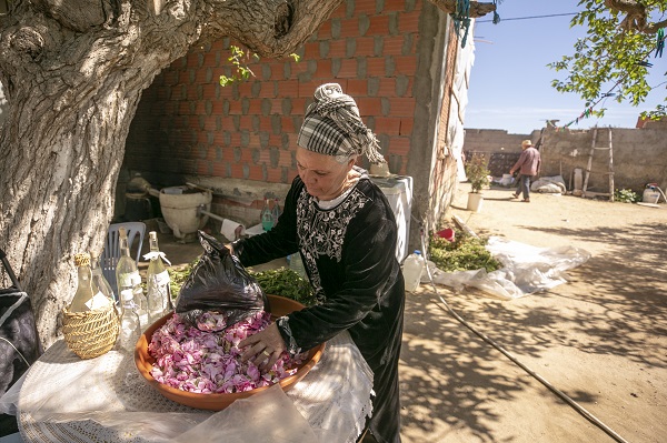 Foto - Tunus’un kadim geleneği "çiçek damıtımı" 