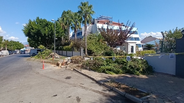 Foto - Tur otobüsünün sürücüsü feci şekilde can verdi