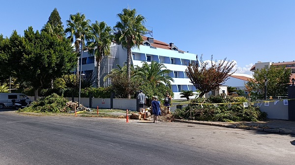 Foto - Tur otobüsünün sürücüsü feci şekilde can verdi