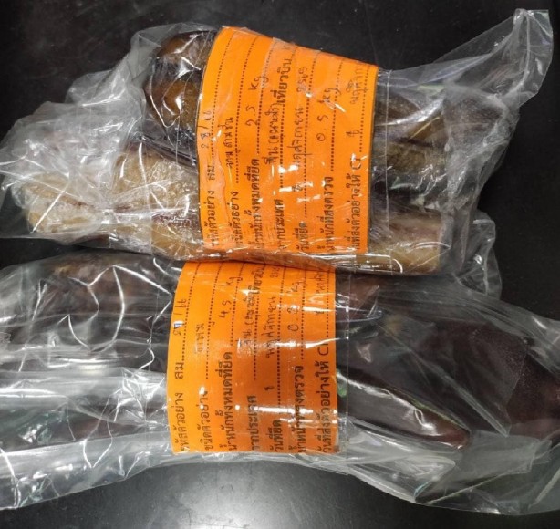 Foto - Turistin bavulundan çıkan mide bulandırdı! Virüs taşıdığı şüphesi var