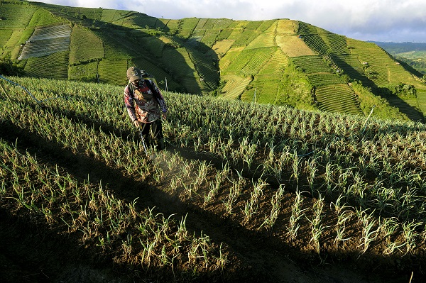 Foto - Turistler akın akın buraya gidiyor