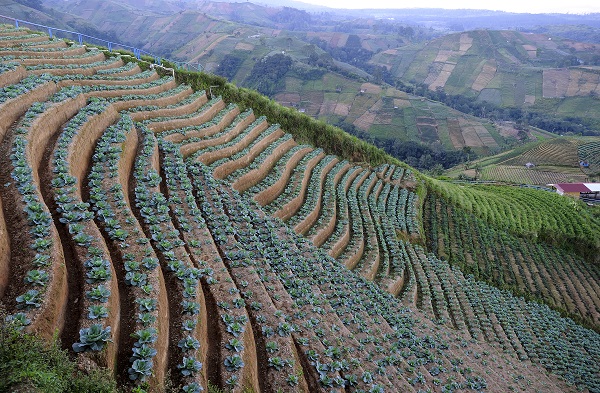 Turistler akın akın buraya gidiyor
