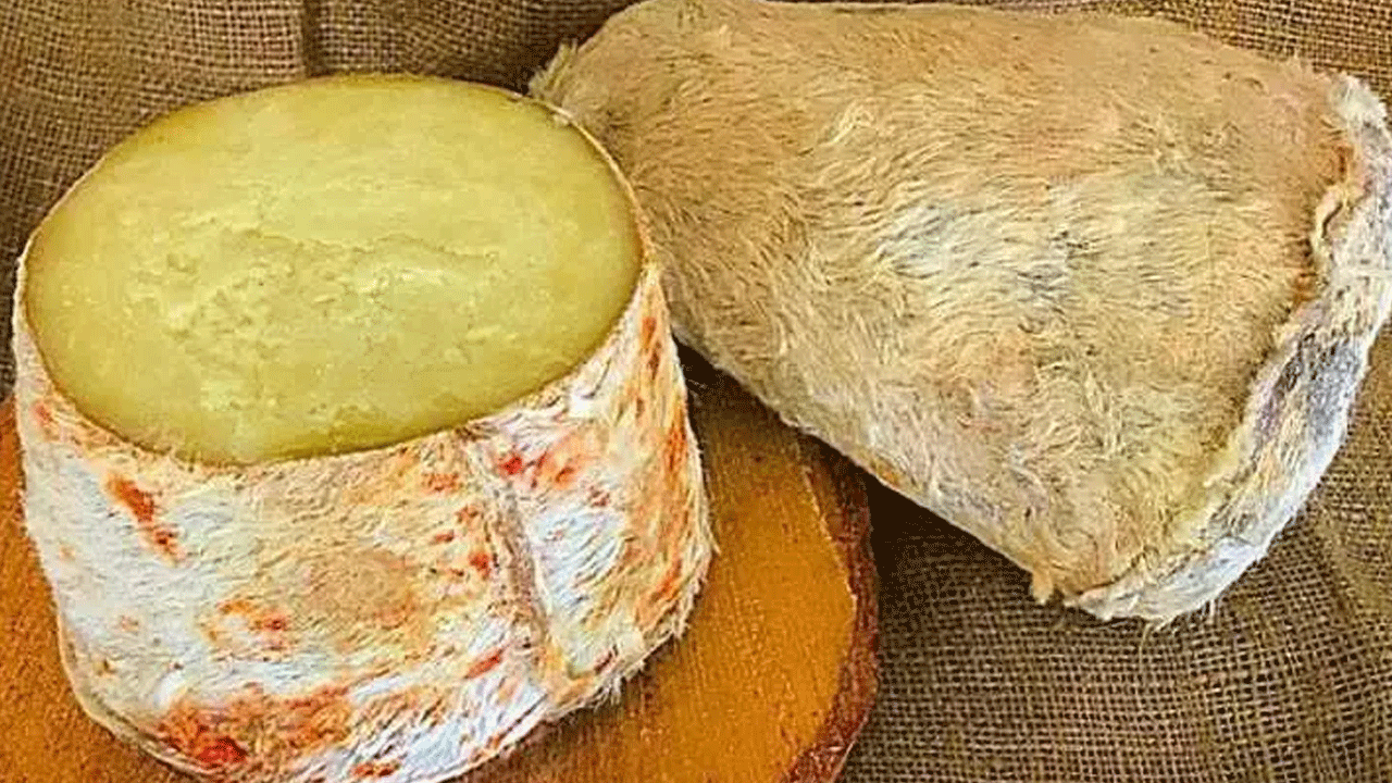 Foto - Turistler akın akın onun için geliyor! Faydası saymakla bitmiyor!