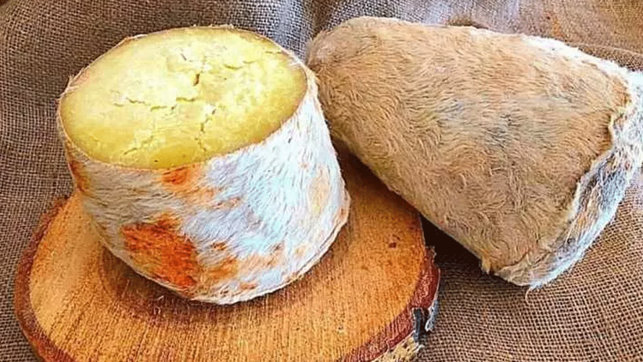 Foto - Turistler akın akın onun için geliyor! Faydası saymakla bitmiyor!