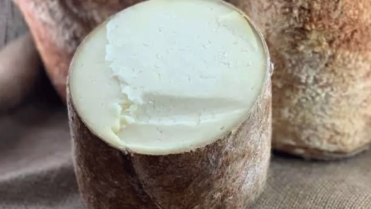 Foto - Turistler akın akın onun için geliyor! Faydası saymakla bitmiyor!