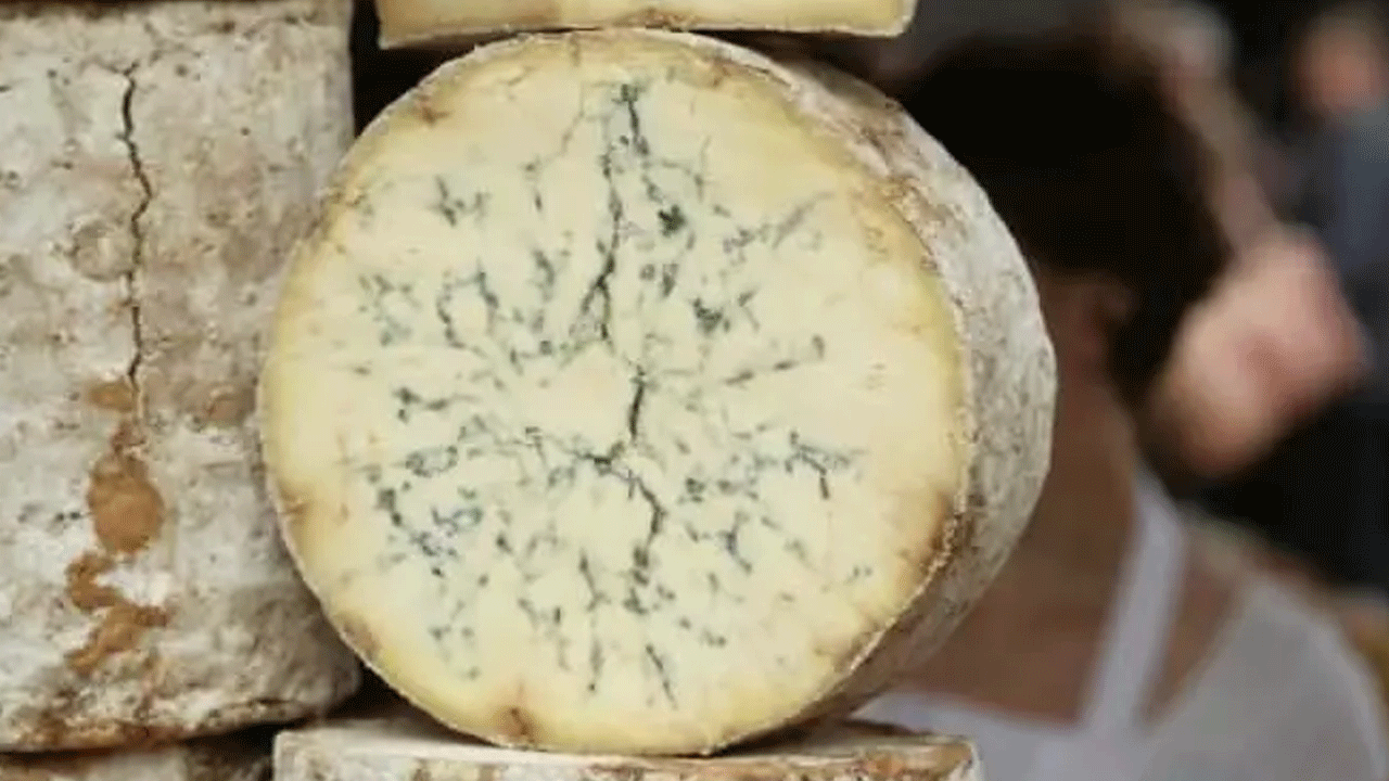 Foto - Turistler akın akın onun için geliyor! Faydası saymakla bitmiyor!