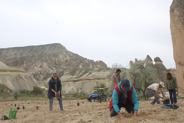 Foto - Turistler de eşlik etti! Paşabağları aslına dönüyor