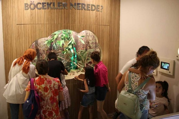 Foto - Turistlerin yeni rotası: Kelebek Bahçesi