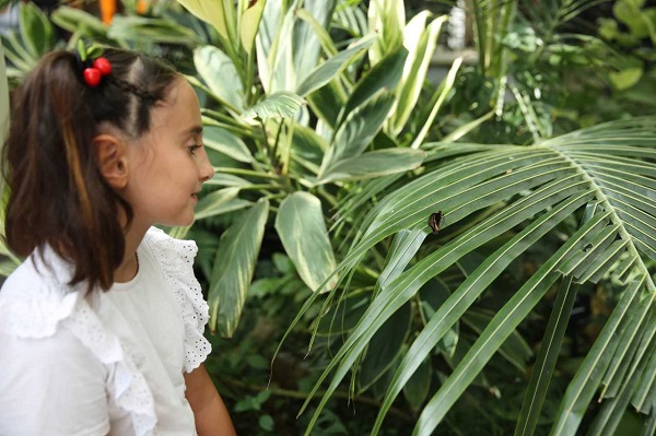 Foto - Turistlerin yeni rotası: Kelebek Bahçesi