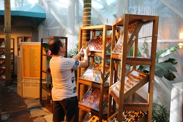 Foto - Turistlerin yeni rotası: Kelebek Bahçesi