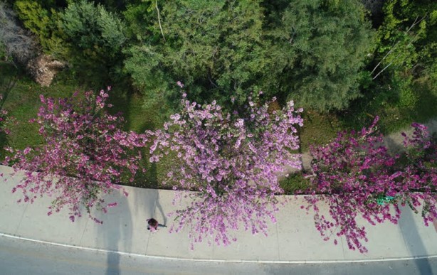Foto - "Turizm başkenti"nde ilkbahar bir başka güzel