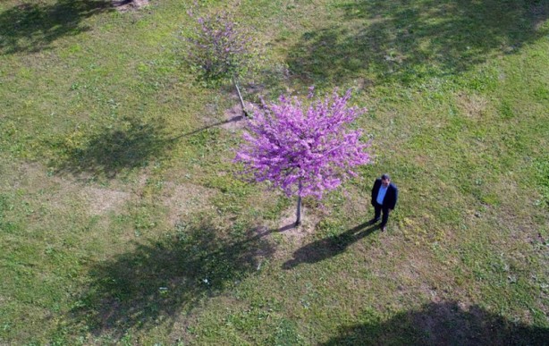 Foto - "Turizm başkenti"nde ilkbahar bir başka güzel