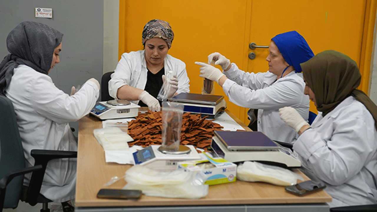 Foto - Türk akademisyen ülkeleri peşine taktı: Paça çorbasındaki kolajenden öyle bir şey yaptı ki...