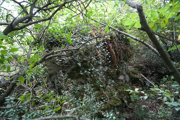 Foto - Türk akınlarına karşı yapılmıştı! 928 yılda geriye kalanlar