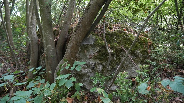 Foto - Türk akınlarına karşı yapılmıştı! 928 yılda geriye kalanlar