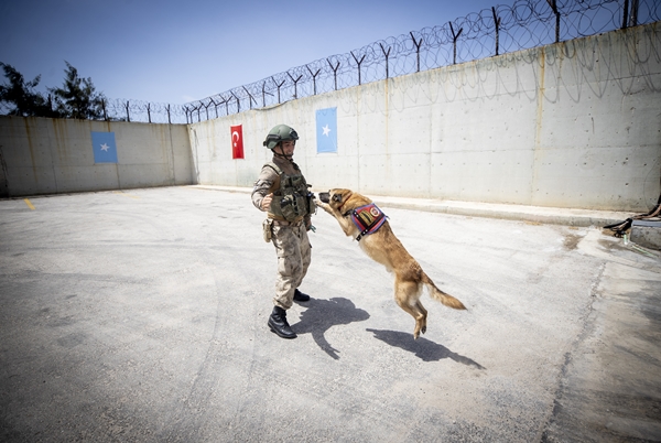 Foto - Türk askerleri eğitiyor! Düşmana korku salıyorlar