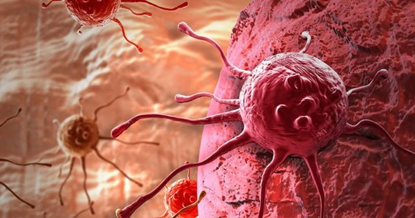 Türk bilim adamlarından kanser için müjdeli haber!