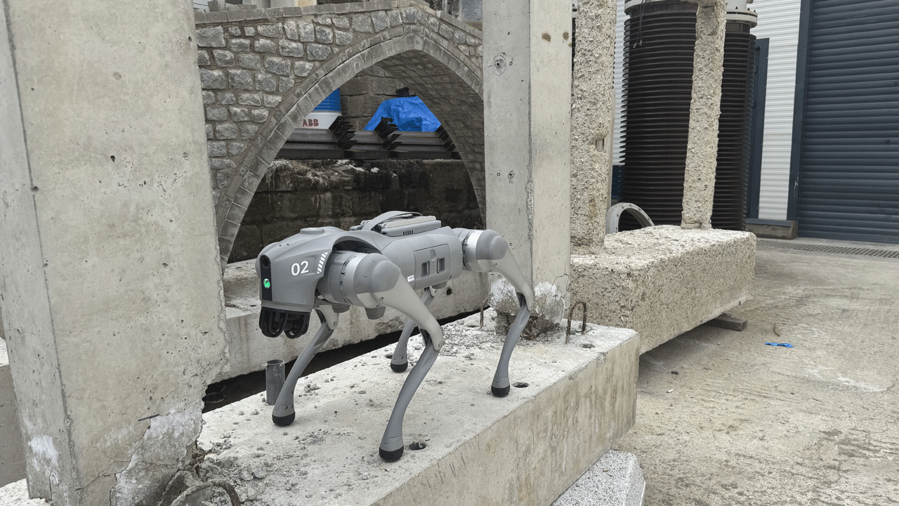 Türk bilim İnsanları geliştirdi: Depremin hasarını robot köpekler ölçecek