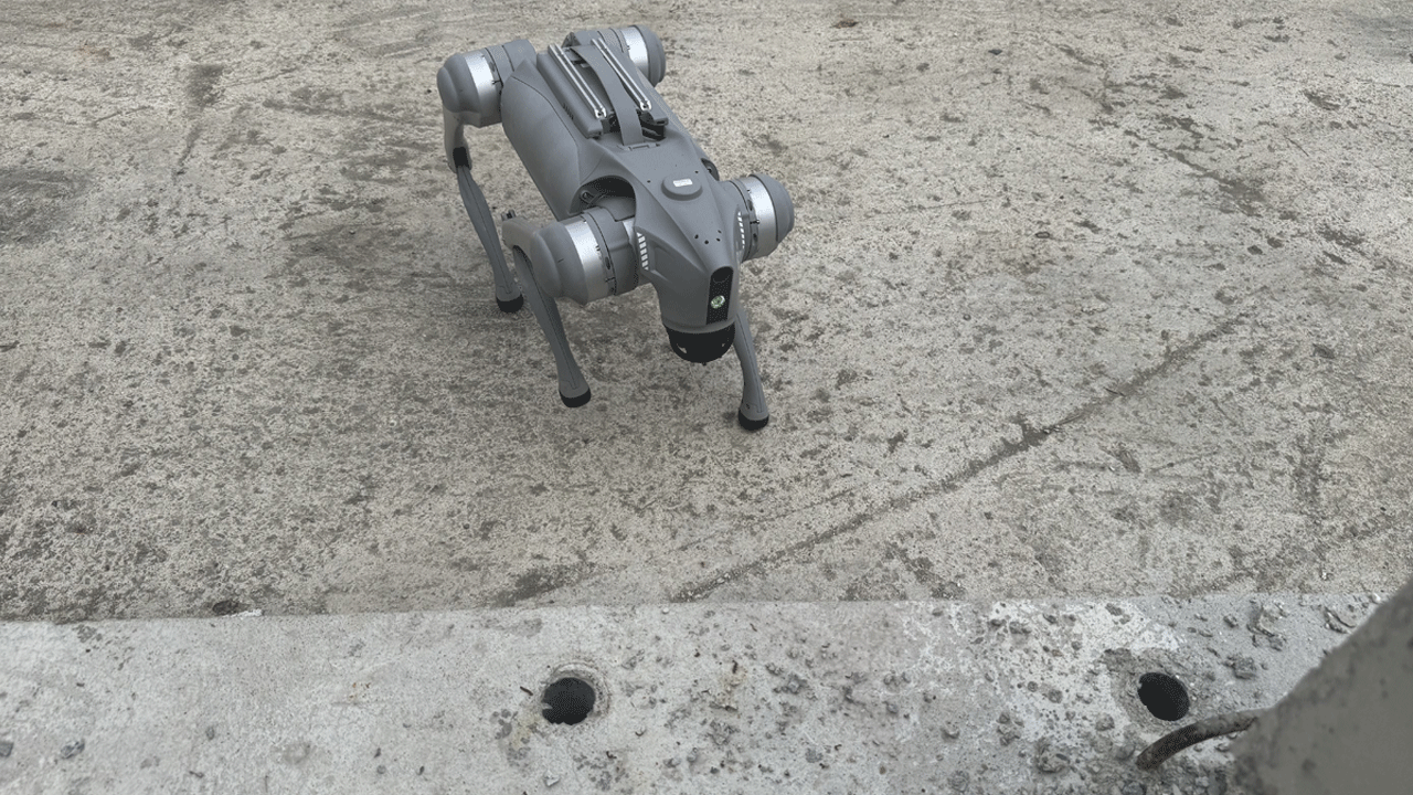 Foto - Türk bilim İnsanları geliştirdi: Depremin hasarını robot köpekler ölçecek