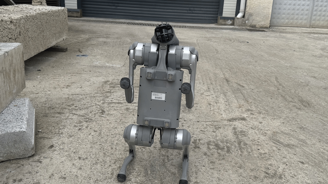Foto - Türk bilim İnsanları geliştirdi: Depremin hasarını robot köpekler ölçecek