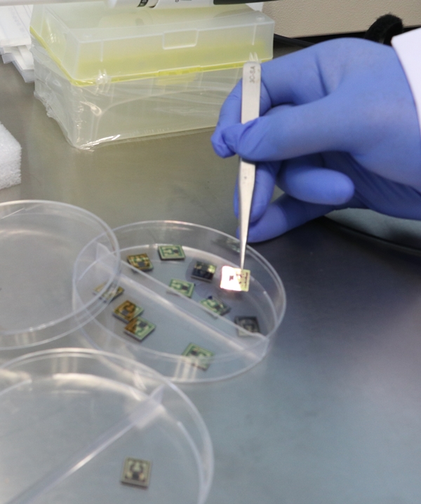 Foto - Türk bilim insanları geliştirdi... Dünyada bir ilk