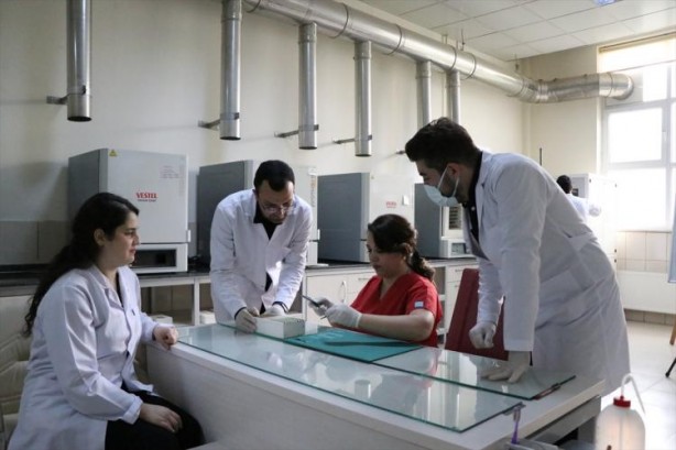 Foto - Türk bilim insanları geliştirdi! Hidrojen yakıt pili