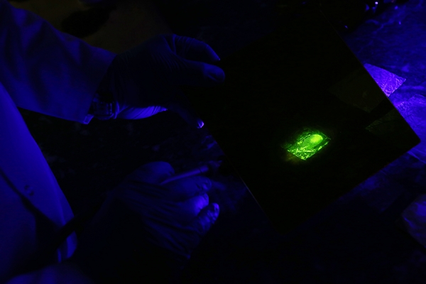 Foto - Türk bilim insanları tarafından geliştirildi... 3 ülkeden sipariş alındı