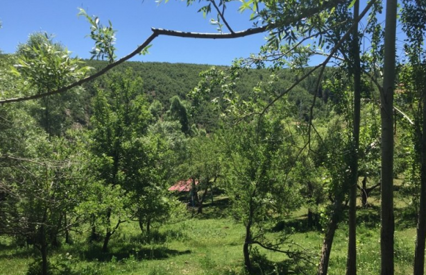 Foto - Türk bilim insanlarından müthiş keşif