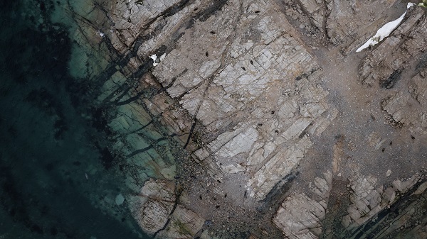 Foto - Türk bilim insanlarından örnek davranış! Beyaz Kıta'da doğal yaşam böyle korundu