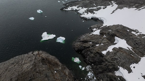 Foto - Türk bilim insanlarından örnek davranış! Beyaz Kıta'da doğal yaşam böyle korundu