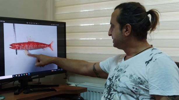 Foto - Türk bilim insanlarından şaşırtan keşif! İlk kez görüldü! Gerçekten hayret verici 