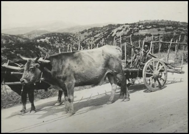 Foto - Türk boylarının 111 yıllık fotoğrafları ortaya çıktı! İşte gizemli Türk tarihi…