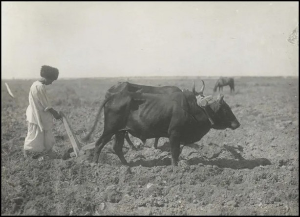 Foto - Türk boylarının 111 yıllık fotoğrafları ortaya çıktı! İşte gizemli Türk tarihi…