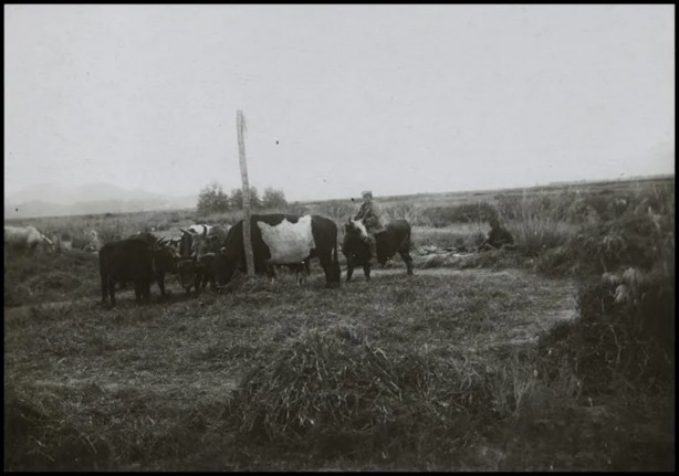 Foto - Türk boylarının 111 yıllık fotoğrafları ortaya çıktı! İşte gizemli Türk tarihi…