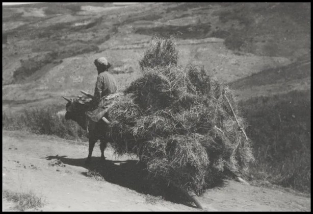 Foto - Türk boylarının 111 yıllık fotoğrafları ortaya çıktı! İşte gizemli Türk tarihi…