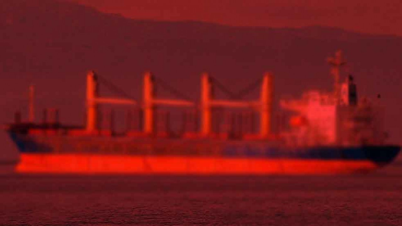 Türk devi gözünü kararttı: Japonya'dan 4 gemi sipariş etti