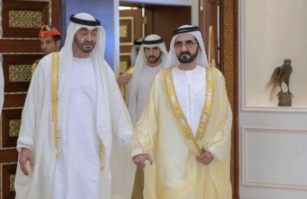 Türk enerji devini uyanıklık yapıp alamayan BAE'den flaş hamle! Sessiz sedasız o şirketi satın aldılar