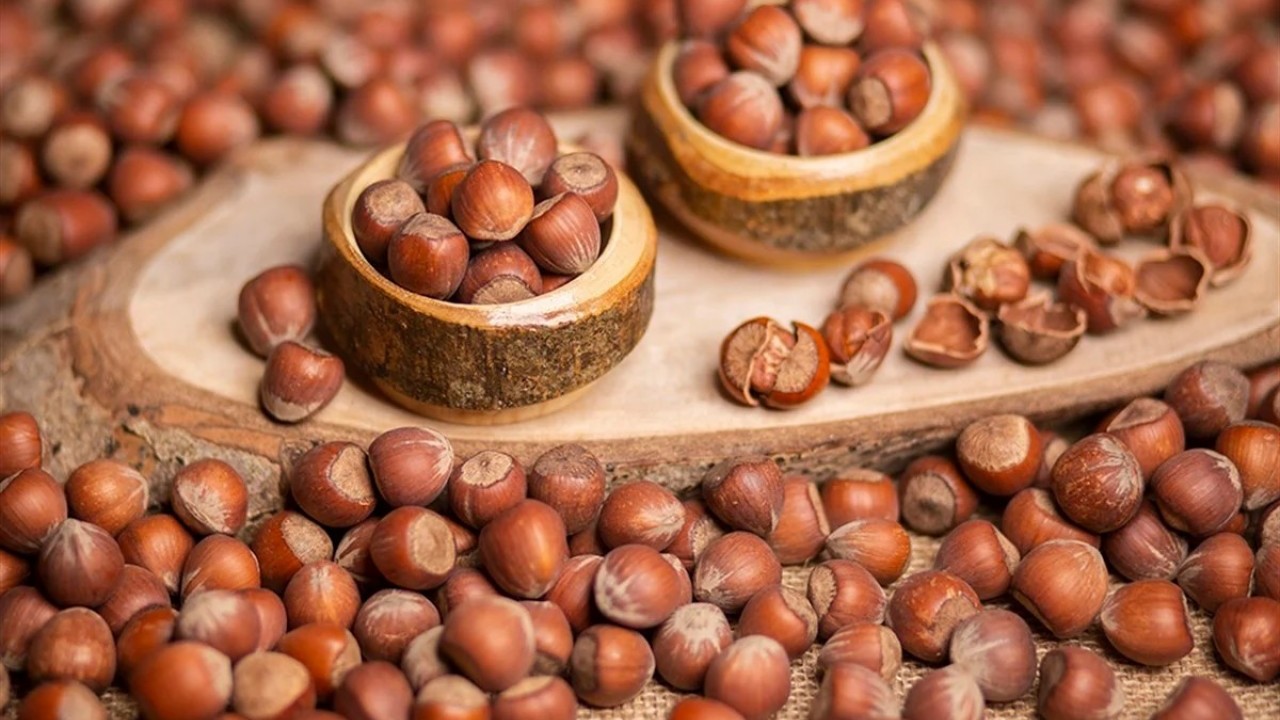 Foto - Türk fındığı ihracatta rekora koşuyor!