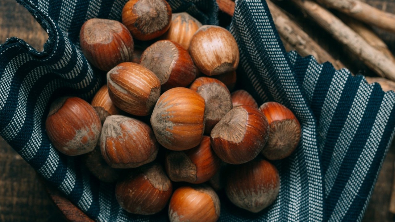 Foto - Türk fındığı ihracatta rekora koşuyor!